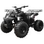 Tao T Forcee T125 Mid Size ATV